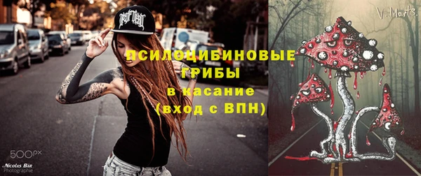 2c-b Беломорск