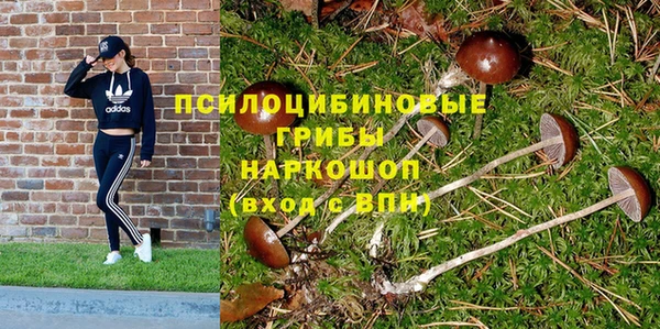 СК Белокуриха