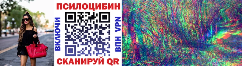 где купить наркоту  Кунгур  Галлюциногенные грибы Cubensis 